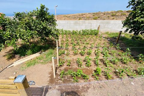 Landejendom i Telde, Gran Canaria, Telde - € 850.000 | Ref: 2026 - foto 20
